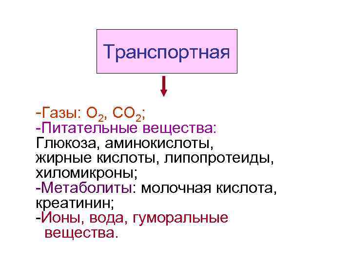 Транспортная -Газы: О 2, СО 2; -Питательные вещества: Глюкоза, аминокислоты, жирные кислоты, липопротеиды, хиломикроны;