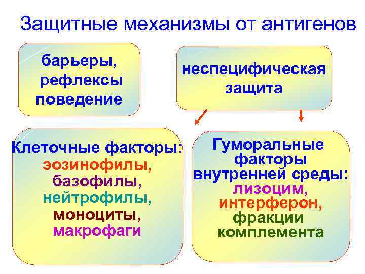 Защитные механизмы от антигенов барьеры, рефлексы поведение неспецифическая защита Гуморальные Клеточные факторы: факторы эозинофилы,