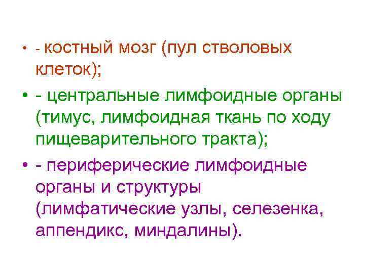  • - костный мозг (пул стволовых клеток); • - центральные лимфоидные органы (тимус,