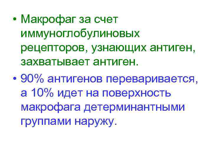  • Макрофаг за счет иммуноглобулиновых рецепторов, узнающих антиген, захватывает антиген. • 90% антигенов