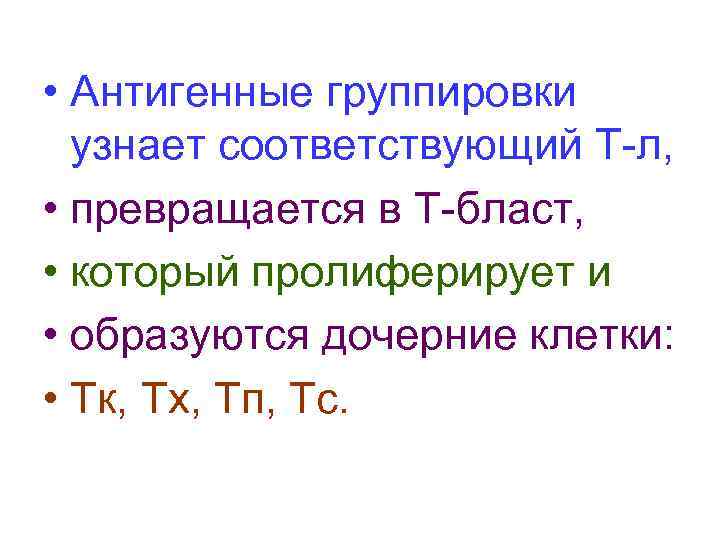  • Антигенные группировки узнает соответствующий Т-л, • превращается в Т-бласт, • который пролиферирует