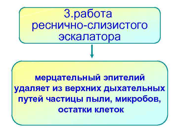 3. работа реснично-слизистого эскалатора мерцательный эпителий удаляет из верхних дыхательных путей частицы пыли, микробов,