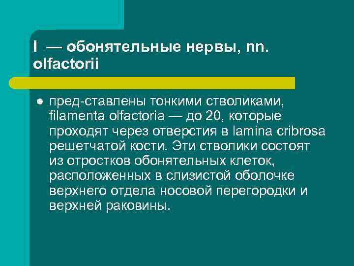 I — обонятельные нервы, nn. olfactorii l пред ставлены тонкими стволиками, filamenta olfactoria —