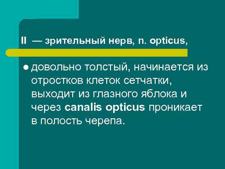 II — зрительный нерв, n. opticus, l довольно толстый, начинается из отростков клеток сетчатки,