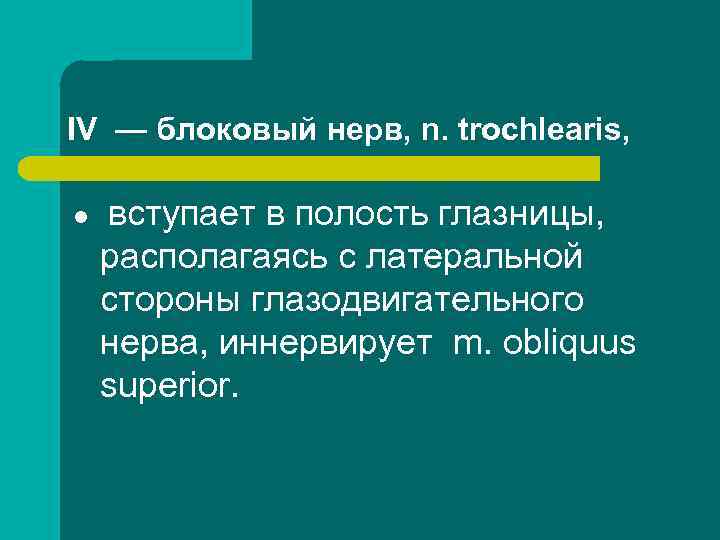 IV — блоковый нерв, n. trochlearis, l вступает в полость глазницы, располагаясь с латеральной