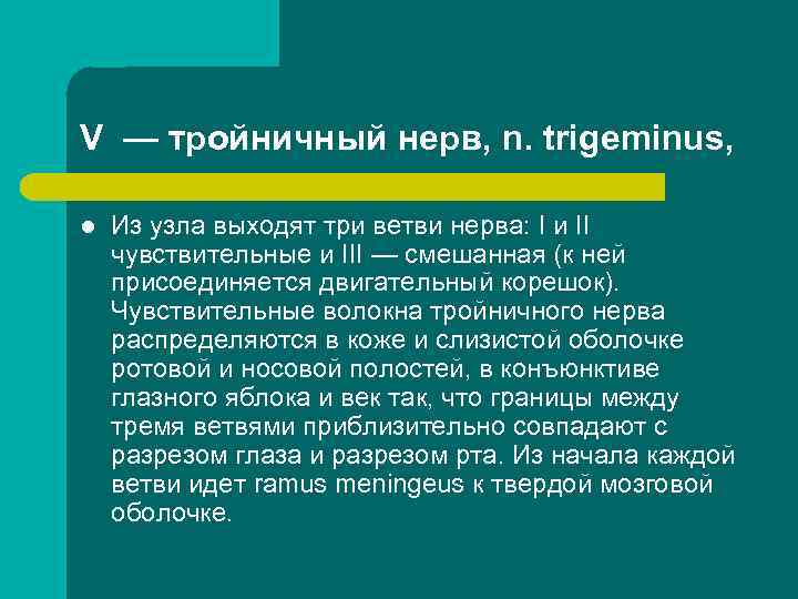 V — тройничный нерв, n. trigeminus, l Из узла выходят три ветви нерва: I