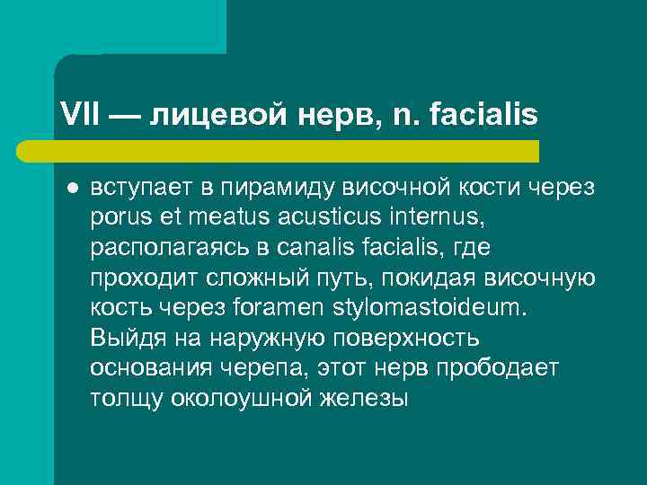 VII — лицевой нерв, n. facialis l вступает в пирамиду височной кости через porus