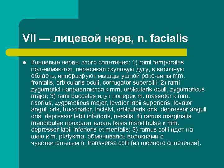 VII — лицевой нерв, n. facialis l Концевые нервы этого сплетения: 1) rami temporales