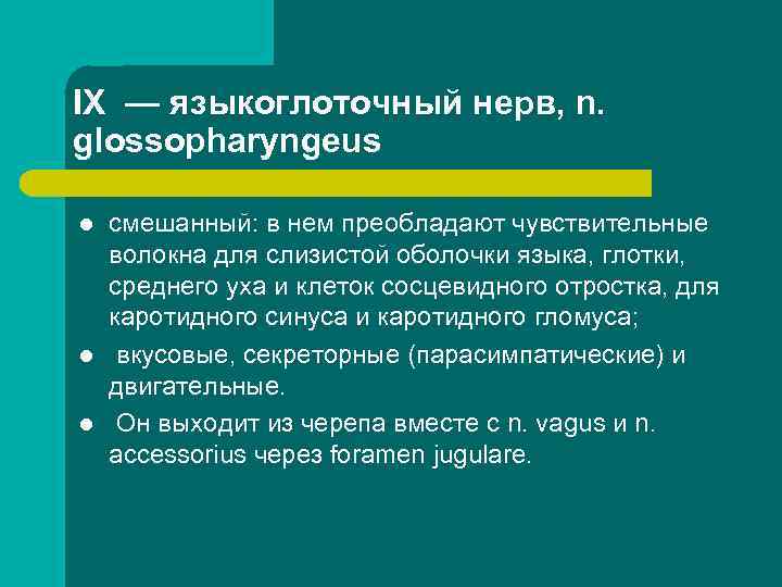 IX — языкоглоточный нерв, n. glossopharyngeus l l l смешанный: в нем преобладают чувствительные