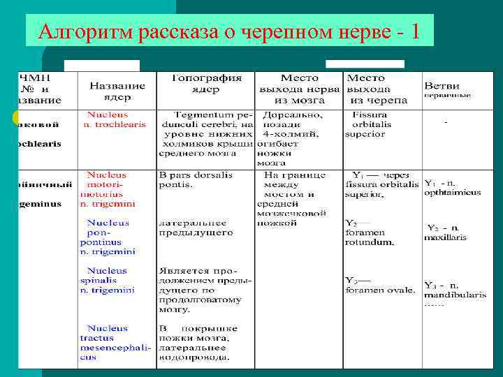 Алгоритм рассказа о черепном нерве - 1 IY Y 