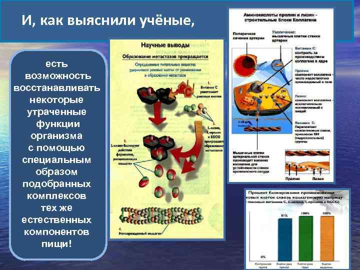 И, как выяснили учёные, есть возможность восстанавливать некоторые утраченные функции организма с помощью специальным