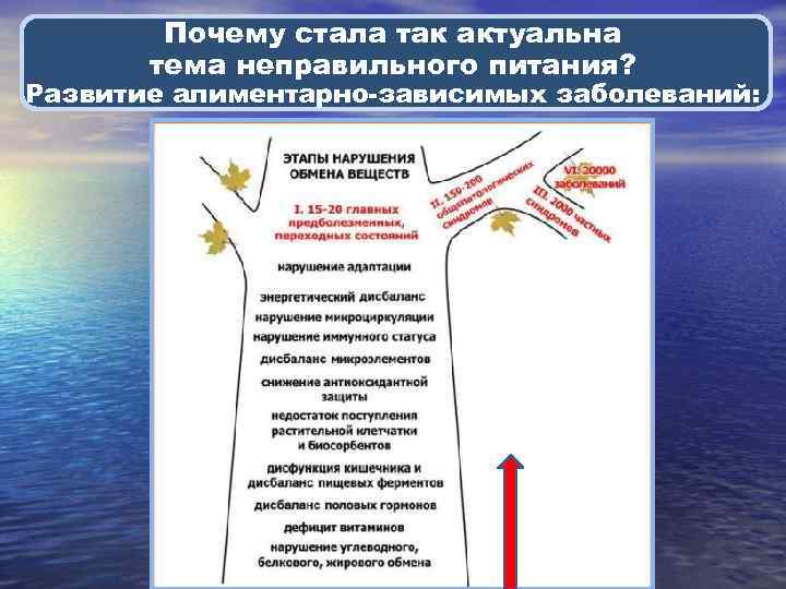 Почему стала так актуальна тема неправильного питания? Развитие алиментарно-зависимых заболеваний: Дерево 