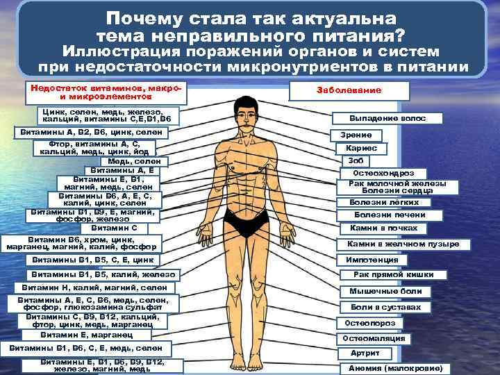 Почему стала так актуальна тема неправильного питания? Иллюстрация поражений органов и систем при недостаточности