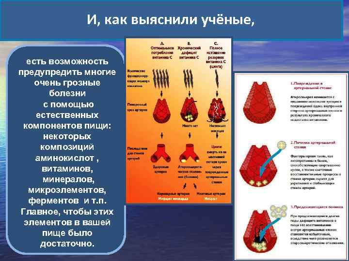 И, как выяснили учёные, есть возможность предупредить многие очень грозные болезни с помощью естественных