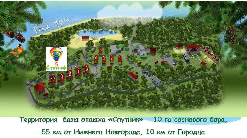 Территория базы отдыха «Спутник» - 10 га соснового бора, 55 км от Нижнего Новгорода,