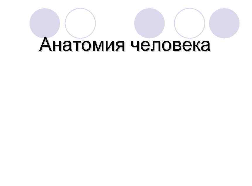 Анатомия человека 