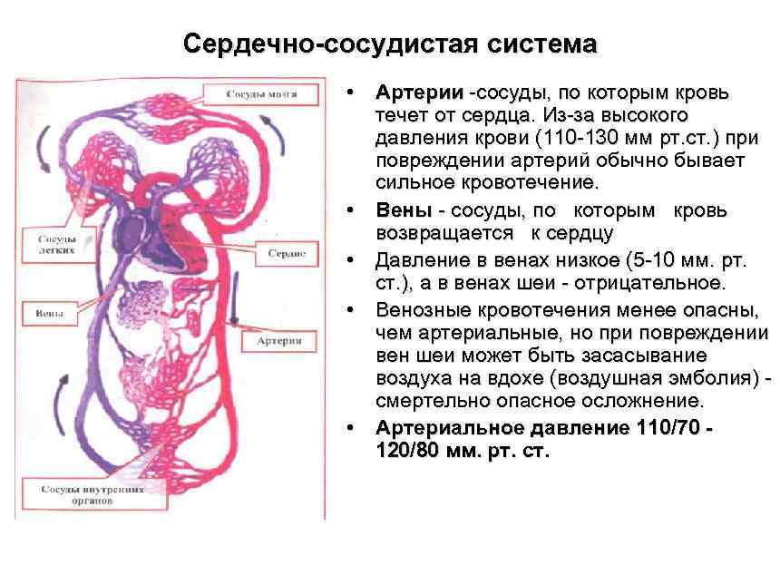 Мкк это сосуды по которым