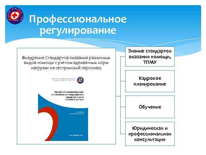 Профессиональное регулирование Внедрение Стандартов оказания различных видов помощи с учетом адекватных норм нагрузки на