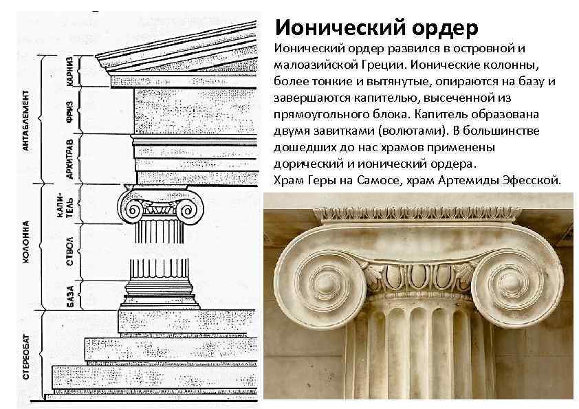 Ионический ордер схема