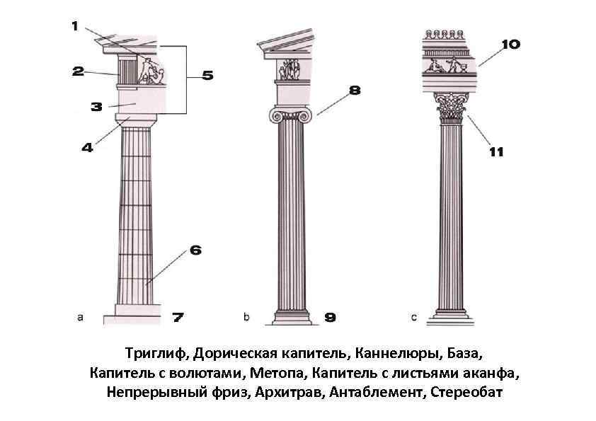 Триглиф, Дорическая капитель, Каннелюры, База, Капитель с волютами, Метопа, Капитель с листьями аканфа, Непрерывный