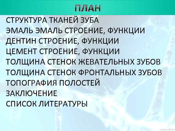 ПЛАН СТРУКТУРА ТКАНЕЙ ЗУБА ЭМАЛЬ СТРОЕНИЕ, ФУНКЦИИ ДЕНТИН СТРОЕНИЕ, ФУНКЦИИ ЦЕМЕНТ СТРОЕНИЕ, ФУНКЦИИ ТОЛЩИНА