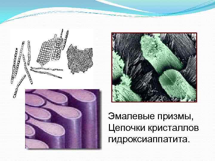 Эмалевые призмы, Цепочки кристаллов гидроксиаппатита. 