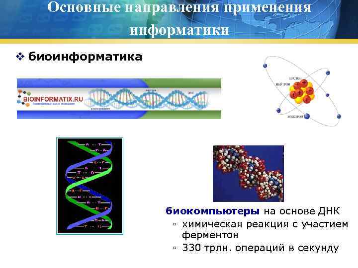 Основные направления применения информатики v биоинформатика биокомпьютеры на основе ДНК ▫ химическая реакция с