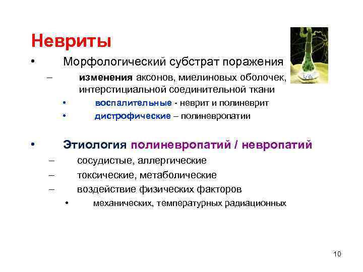 Невриты • Морфологический субстрат поражения – изменения аксонов, миелиновых оболочек, интерстициальной соединительной ткани •