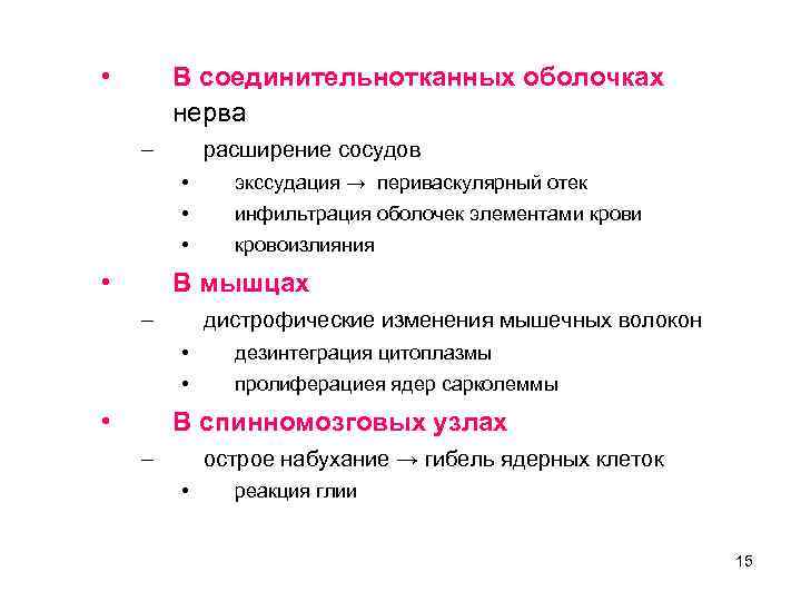  • В соединительнотканных оболочках нерва – расширение сосудов • • инфильтрация оболочек элементами