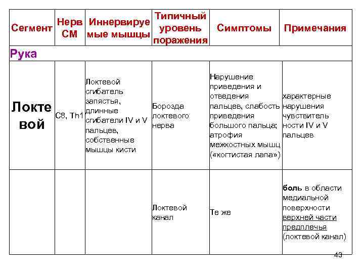 Типичный Нерв Иннервируе Сегмент уровень Симптомы СМ мые мышцы поражения Примечания Рука Локте вой
