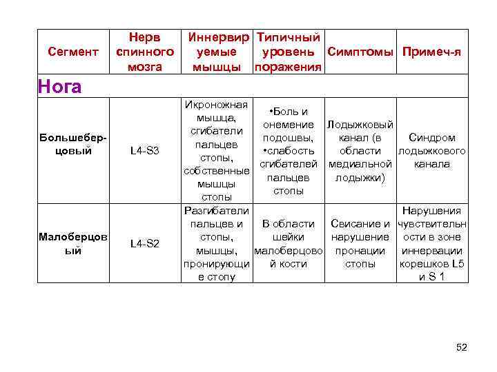 Сегмент Нерв Иннервир Типичный спинного уемые уровень Симптомы Примеч-я мозга мышцы поражения Нога Большеберцовый