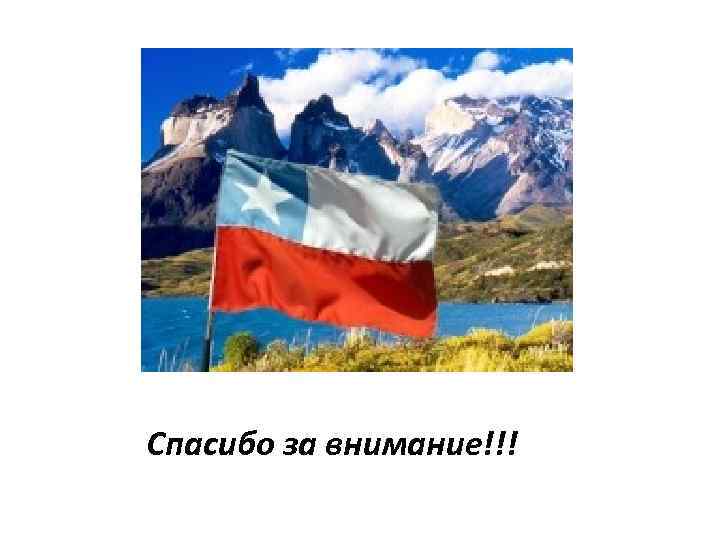 Спасибо за внимание!!! 