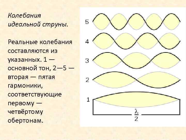 Колебания идеальной струны. Реальные колебания составляются из указанных. 1 — основной тон, 2— 5
