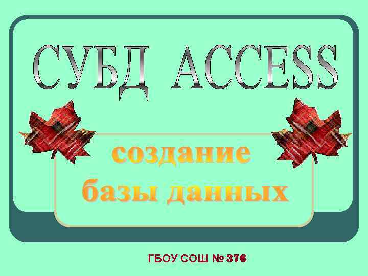 ГБОУ СОШ № 376 