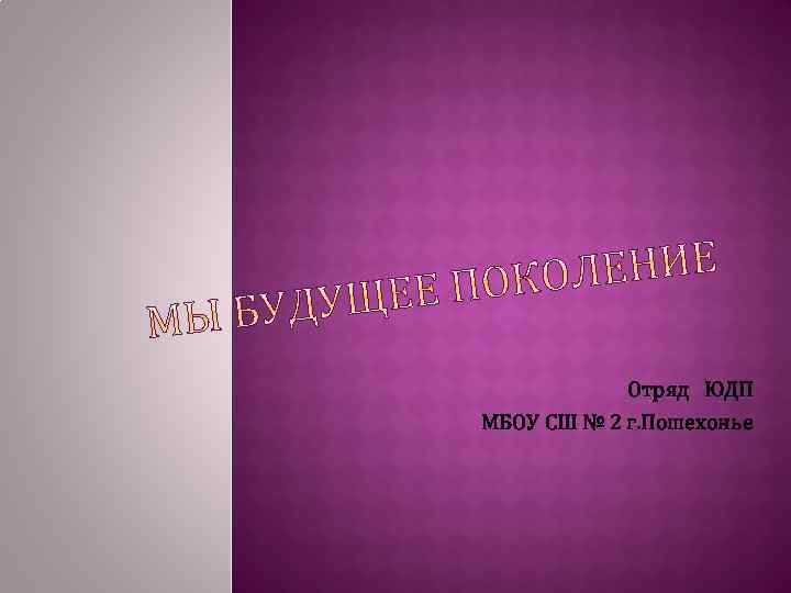 Отряд ЮДП МБОУ СШ № 2 г. Пошехонье 