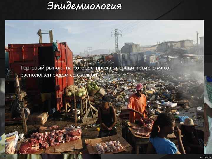 Эпидемиология Источник : üбольные люди üтранзиторные выделители üбольные в инкубационный период Механизм заражения :