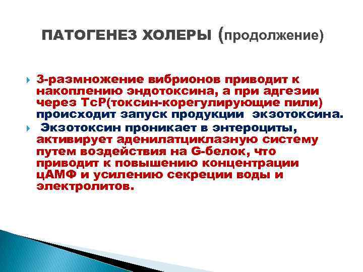 ПАТОГЕНЕЗ ХОЛЕРЫ (продолжение) 3 -размножение вибрионов приводит к накоплению эндотоксина, а при адгезии через