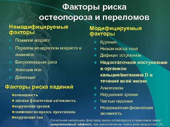 Факторы риска остеопороза и переломов Немодифицируемые факторы Модифицируемые факторы l Пожилой возраст l Курение