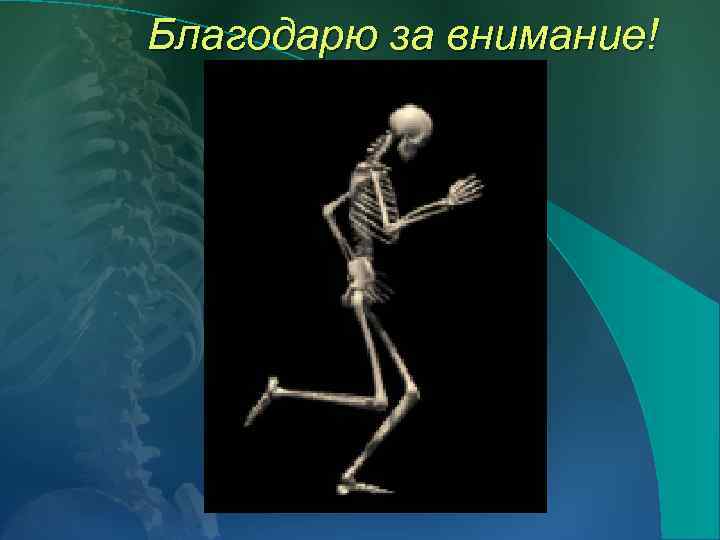 Благодарю за внимание! 