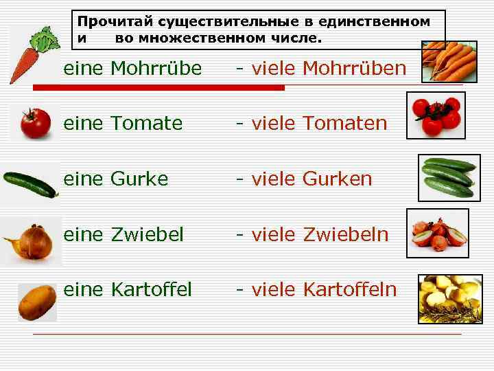 Прочитай существительные в единственном и во множественном числе. o eine Mohrrübe - viele Mohrrüben