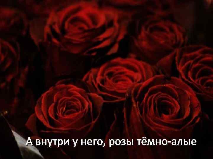 Темно алые розы а на душе лишь. Розы темно Алые. Розы темные Алые. Розы тёмно-Алые розы. А внутри у него розы темно.