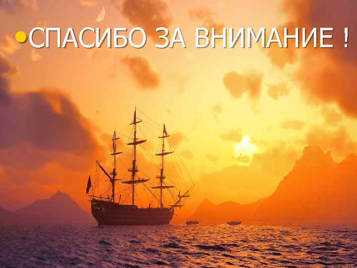  • СПАСИБО ЗА ВНИМАНИЕ ! 