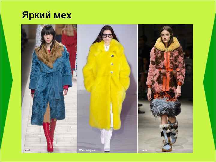 Яркий мех 