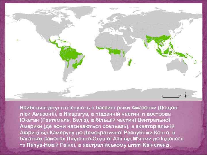 Найбільші джунглі існують в басейні річки Амазонки (Дощові ліси Амазонії), в Нікарагуа, в південній