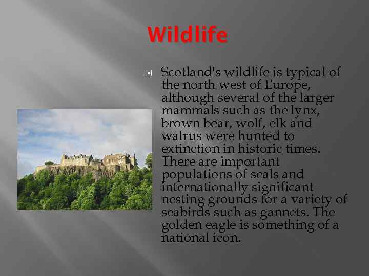 Wildlife Scotland's wildlife is typical of the north west of Europe, although several of
