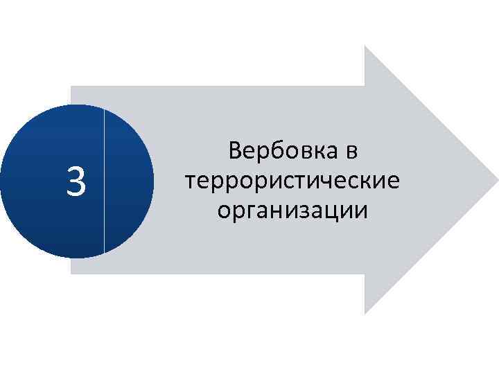 3 Вербовка в террористические организации 