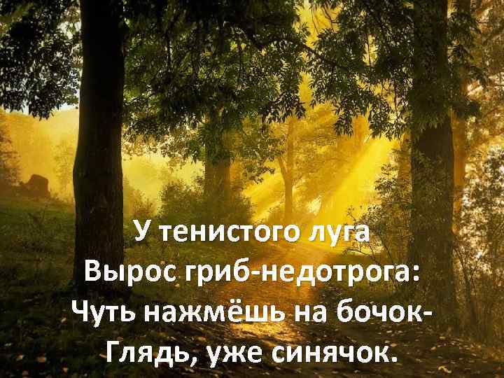 У тенистого луга Вырос гриб-недотрога: Чуть нажмёшь на бочок. Глядь, уже синячок. 