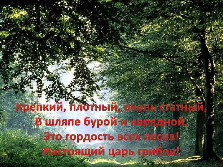 Крепкий, плотный, очень статный, В шляпе бурой и нарядной. Это гордость всех лесов! Настоящий