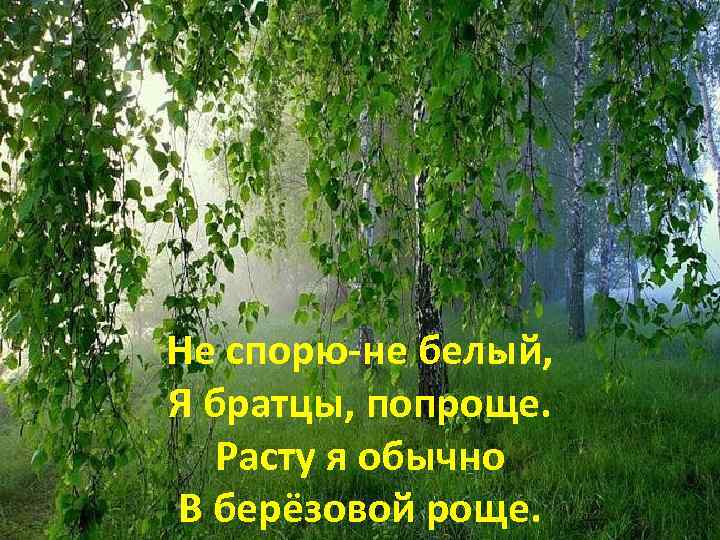 Не спорю-не белый, Я братцы, попроще. Расту я обычно В берёзовой роще. 