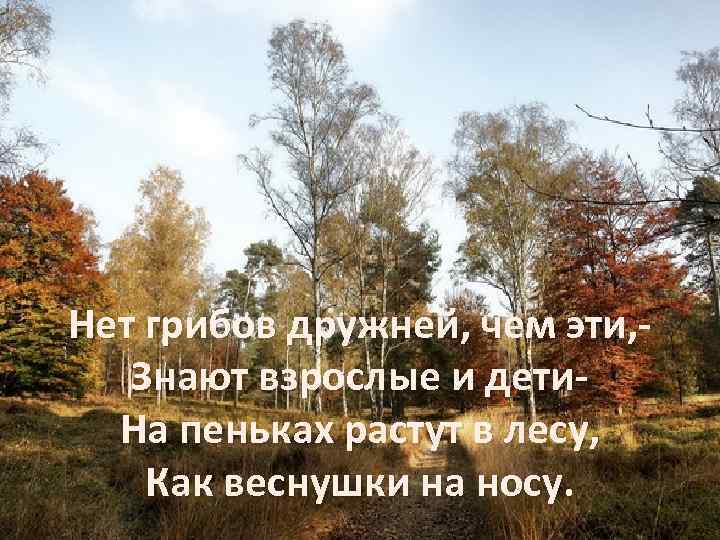 Нет грибов дружней, чем эти, Знают взрослые и дети. На пеньках растут в лесу,